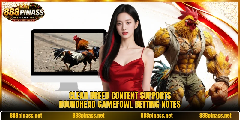 Clear breed context supports Roundhead Gamefowl betting notes