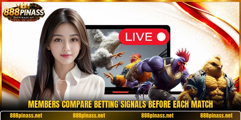 Members compare betting signals before each match