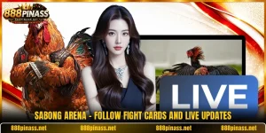 Sabong Arena - Follow Fight Cards And Live Updates