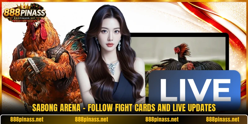 Sabong Arena - Follow Fight Cards And Live Updates